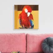 Rode Macaw Tropische Papegaai in Mexico Canvas Afdruk (Insitu (Woonkamer))