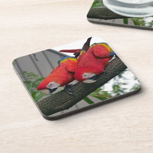 Rode Macaws 2.JPG Bier Onderzetter (Linkerzijde)