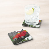 Rode Macaws 2.JPG Bier Onderzetter (Rechterzijde)