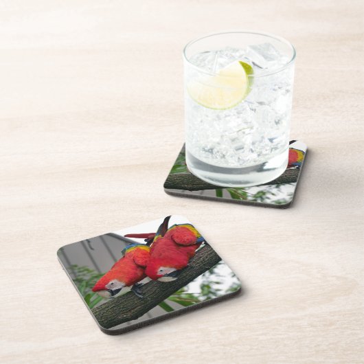 Rode Macaws 2.JPG Bier Onderzetter (Rechterzijde)