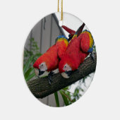 Rode Macaws 2.JPG Keramisch Ornament (Rechts)