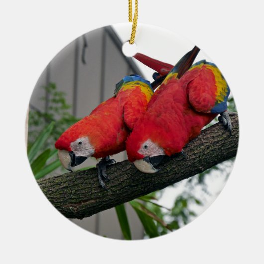 Rode Macaws 2.JPG Keramisch Ornament (Voorkant)
