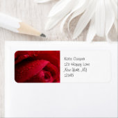 Rode macroRoos met waterdruppels Etiket (Insitu)