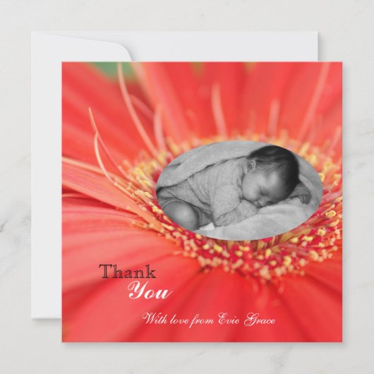 Rode Madelief Bloem Kind Bedankt Baby Aankondiging (Voorkant)