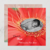 Rode Madelief Bloem Kind Dank Je Baby Aankondiging (Voorkant / Achterkant)