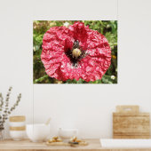  rode makerafdrukken met blaasjes poster (Keuken)