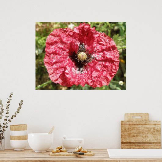  rode makerafdrukken met blaasjes poster (Keuken)