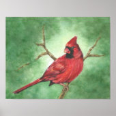 Rode mandinaal in de boom poster (Voorkant)