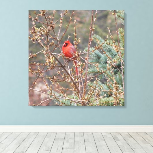 Rode mandinaal op het schilderij van de Handen Canvas Afdruk (Insitu (Houten vloer))