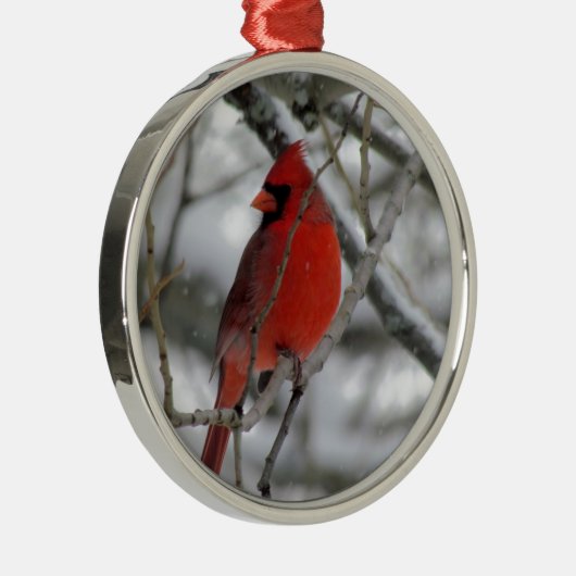 Rode mannelijke kardinaal in de winter metalen ornament (Rechts)