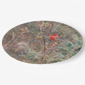 Rode Mannelijke Kardinaal op Forsythia Hedge Papieren Bordje (Gekanteld)