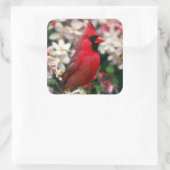 Rode mannelijke kardinaal vierkante sticker (Tas)