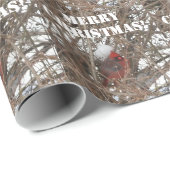 Rode mannenkardinaal op snowy Branches die papier  (Rol Hoek)