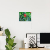 Rode mantel in groene gras poster (Thuiskantoor)