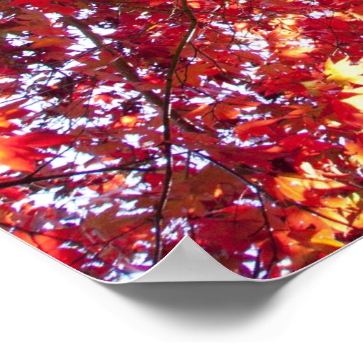 Rode mantel poster (Hoek)