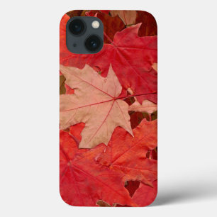 Rode mantels iPhone 13 hoesje
