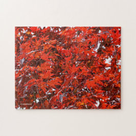 Rode mantels legpuzzel