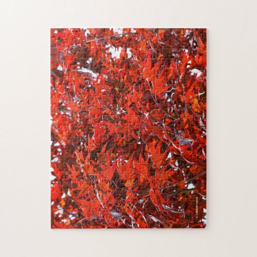 Rode mantels legpuzzel (Verticaal)