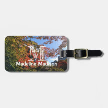 Rode Mapels in Japanse tuin