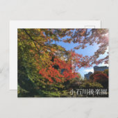 Rode Mapels in Japanse tuin Briefkaart (Voorkant / Achterkant)