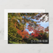 Rode Mapels in Japanse tuin Briefkaart (Voorkant / Achterkant)