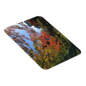 Rode Mapels in Japanse tuin Magneet (Rechterzijde)