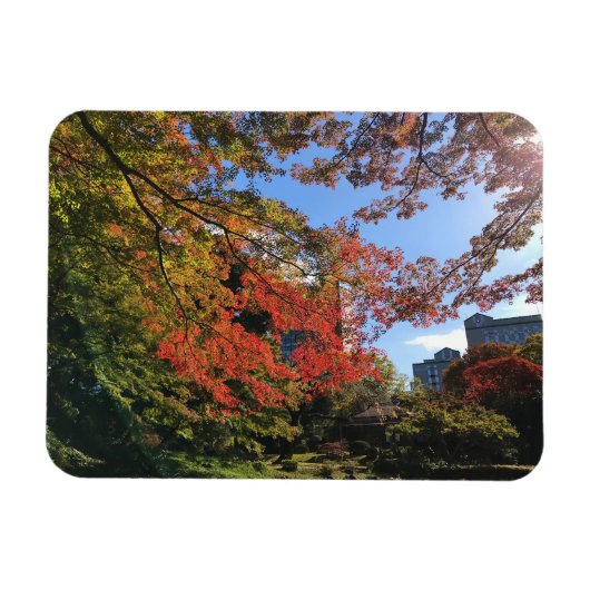 Rode Mapels in Japanse tuin Magneet (Horizontaal)