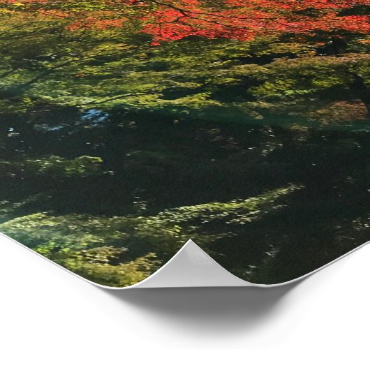 Rode Mapels in Japanse tuin Poster (Hoek)