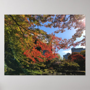 Rode Mapels in Japanse tuin Poster