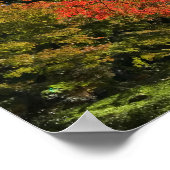 Rode Mapels in Japanse tuin Poster (Hoek)