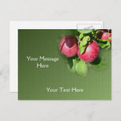 Rode McIntosh-appels op de Natuur van de bomen Briefkaart (Voorkant / Achterkant)