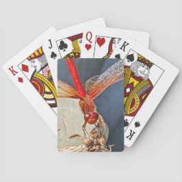 Rode Meadowhawk Dragonfly Natuur Foto Pokerkaarten