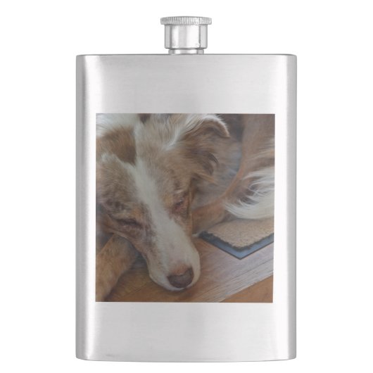 rode merle aussie slaapt flacon (Voorkant)