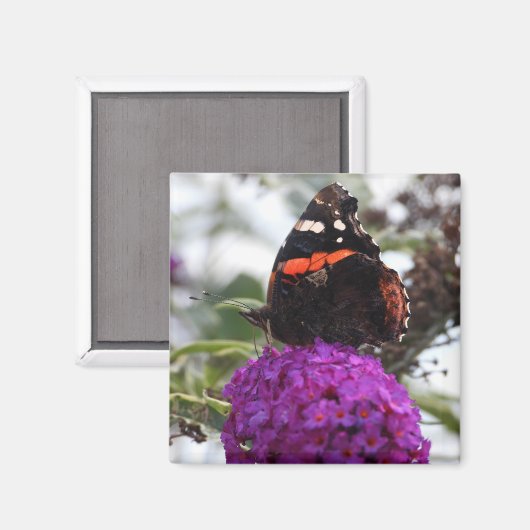 Rode mierenkop magneet (Voorkant / Achterkant)