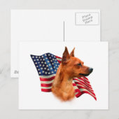 Rode miniatuur Pinscher Amerikaanse vlag; Min Pin  Briefkaart (Voorkant / Achterkant)