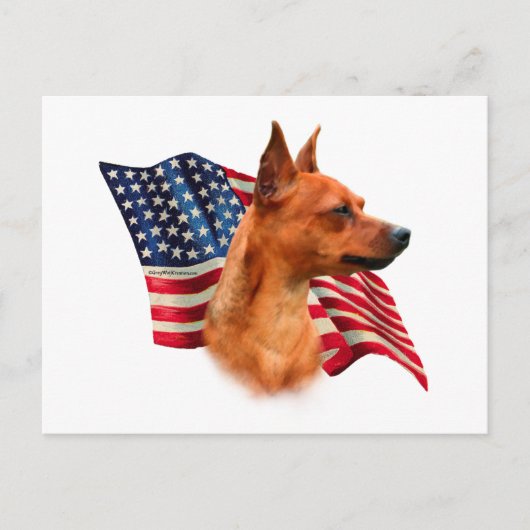 Rode miniatuur Pinscher Amerikaanse vlag; Min Pin  Briefkaart (Voorkant)