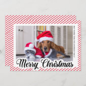 Rode Moderne Kalligrafie Pet Foto Vrolijk Kerstfee Feestdagenkaart (Voorkant / Achterkant)