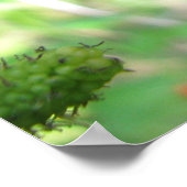 Rode moerbeien poster (Hoek)