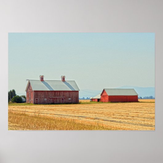 Rode Montana Schuren Poster (Voorkant)