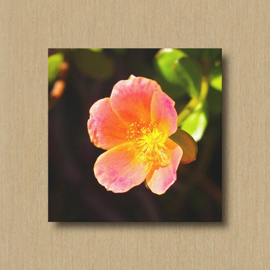 Rode Mosroos Bloem Canvasprint Canvas Afdruk