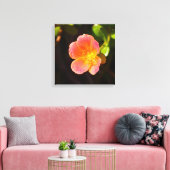 Rode Mosroos Bloem Canvasprint Canvas Afdruk (Insitu (Woonkamer))