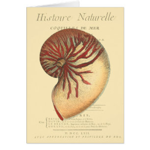 rode naaldhuls