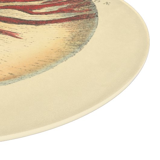 rode naaldhuls snijplank (Hoek)