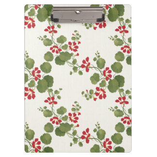 Rode Nasturtium Cream Achtergrond Klembord