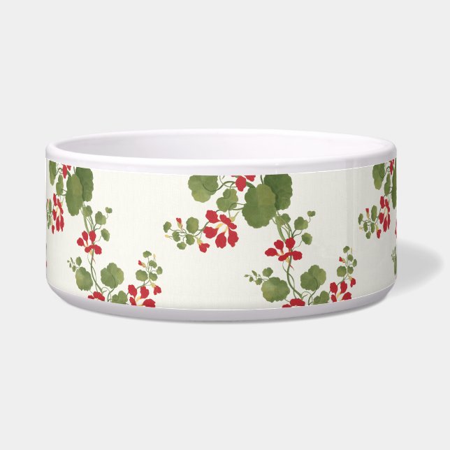 Rode Nasturtium Cream Achtergrond Voerbakje (Voorkant)