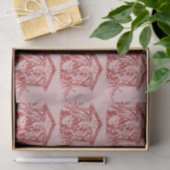  Rode Nativiteit Tissuepapier (Geschenk)