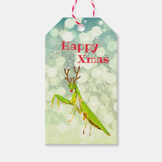 Rode neus biddende Mantis Rare Kerstmis Cadeaulabel (Voorkant)