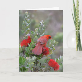 Rode Noordelijke Kardinaal in een Boom Lehua Kaart