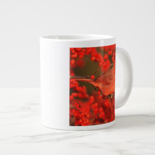 Rode Noordelijke Kardinaal mannetje, IL Grote Koffiekop