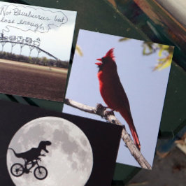 Rode noordelijke kardinale vogel briefkaart